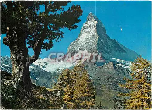 Moderne Karte Le Cervin Zermatt (alt 4477 m)