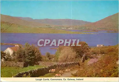 Cartes postales moderne Lough Corrib Connemara Co Galway Ireland