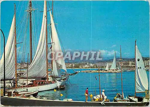 Moderne Karte Cannes Vue prise sur la Croisette depuis le nouveau Port Pierre Canto