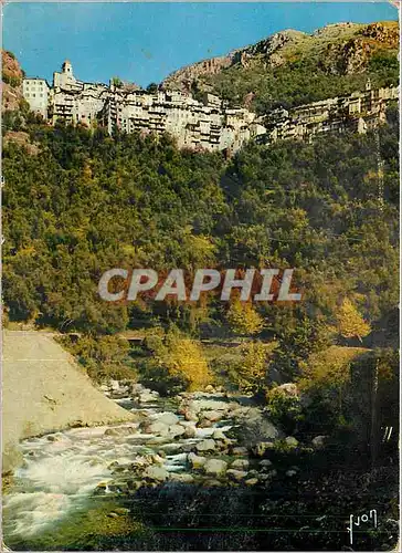 Cartes postales moderne La Cote d'Azur miracle de la nature Saorge (Alpes Maritimes) Village dominant la Roya dans unsit