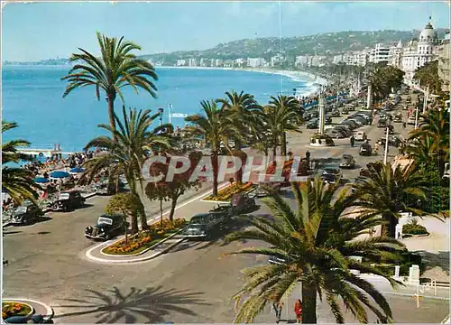 Cartes postales moderne La Cote d'Azur miracle de la nature Nice (A M) Promenade des Anglais