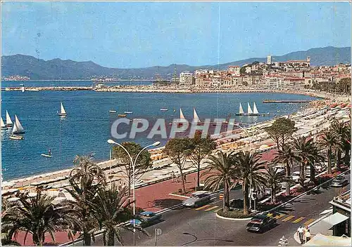 Cartes postales moderne Cannes Cotes d'Azur La Croisette