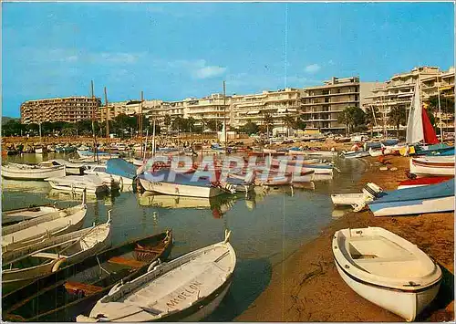 Cartes postales moderne Cannes La Plage et le Petit port pres du casino du Palm Beach