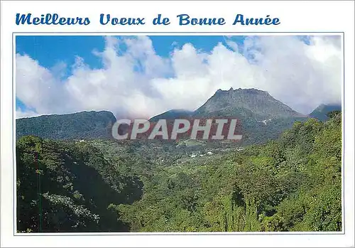 Cartes postales moderne Meilleurs Voeux de Bonne annee