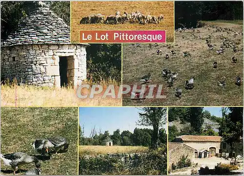 Cartes postales moderne Le Lot Pittoresque