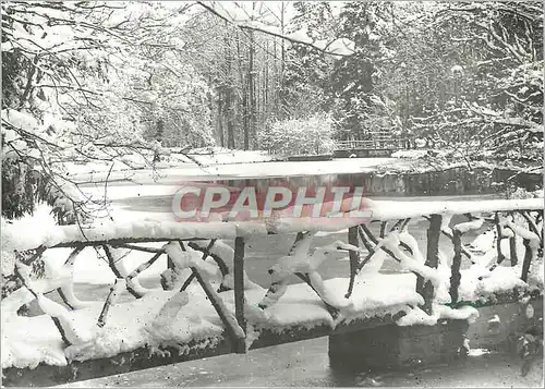 Cartes postales moderne Franciscaines Missionnaires de Marie Les Chatelets sous Bois Ploufragan Sous la neige