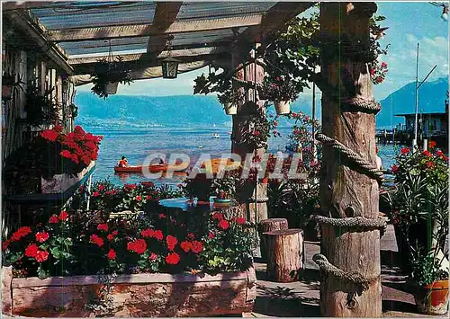 Cartes postales moderne Lac Leman Vue pittoresque sur le lac Leman