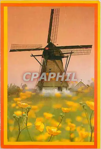 Cartes postales moderne Werkendam Holland Moulin