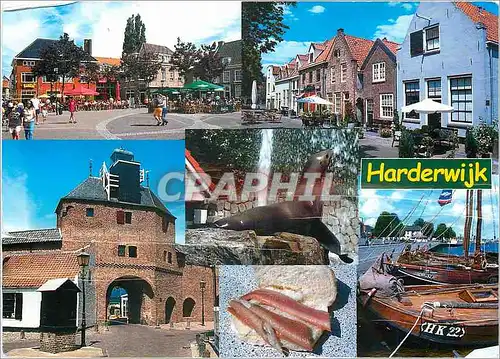 Cartes postales moderne Harderwijk