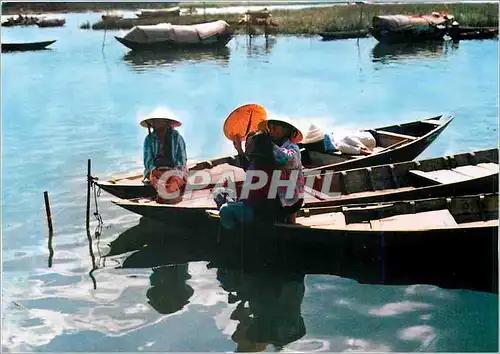 Cartes postales moderne Cuos Song Doi Thuong Cachting Head Louse