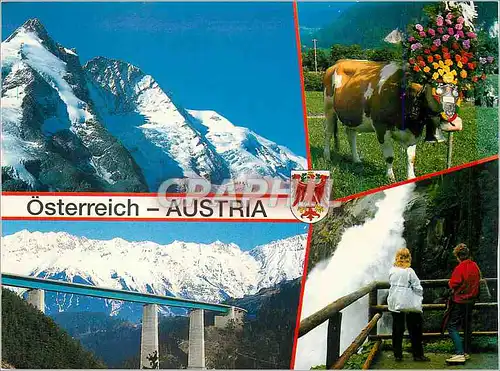 Cartes postales moderne Ein Urlaubsgrub aus Osterreich Grobglichner 2798 m almabtreib