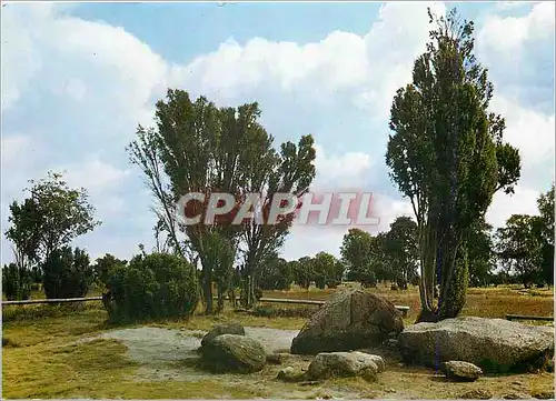 Cartes postales moderne Billung Stein Naturschtzgebiet Luneburger Heide
