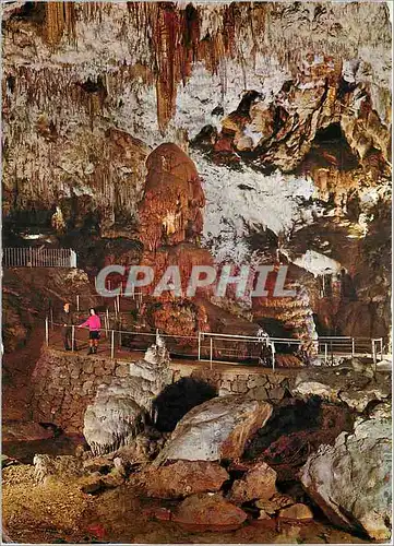 Moderne Karte Postojnska Jama Le Grotte di Postojna