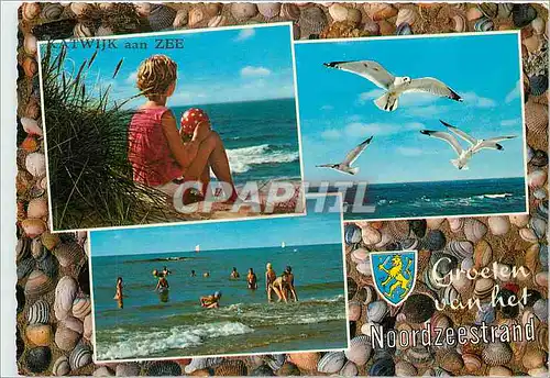 Cartes postales moderne Noodzeestrand