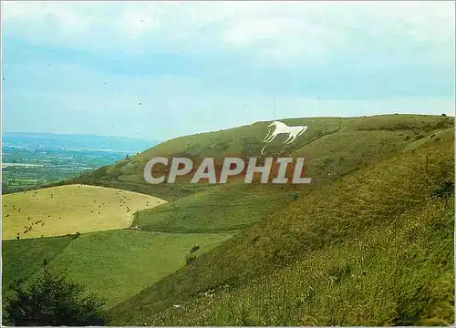 Cartes postales moderne Westbury white horse an ancient horse severat times re cut