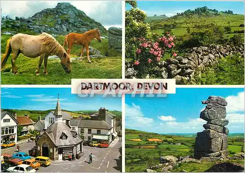 Moderne Karte Dartmoor Devon