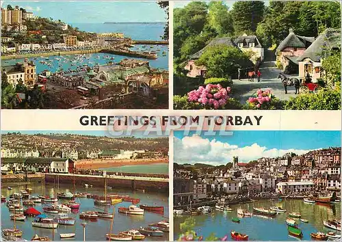 Cartes postales moderne Greetings from Torbay