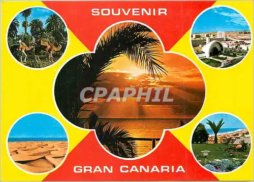 Cartes postales moderne Souvenir Gran Canaria