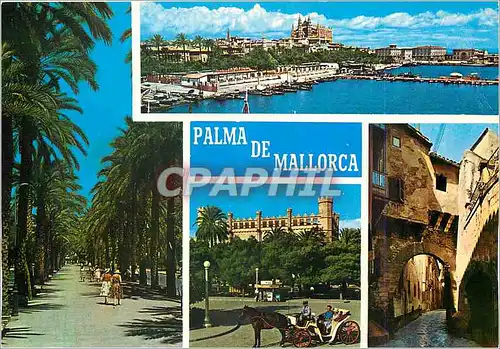 Cartes postales moderne Palma de Mallorca