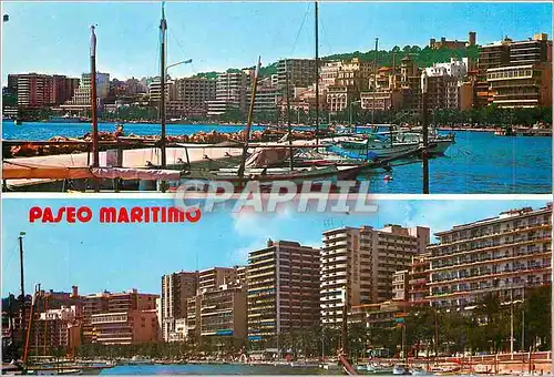 Cartes postales moderne Paseo Maritimo Palma de Mallorca