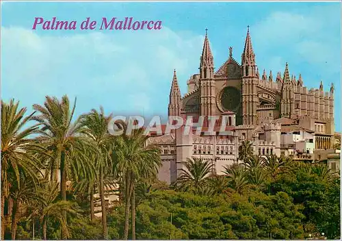 Cartes postales moderne Mallorca Palma la catedrale y la Lonja