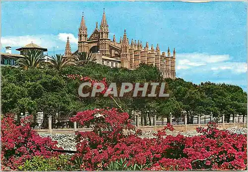 Cartes postales moderne Mallorca (Baleares) Espana La Catedrasl desde et desenbarcadero