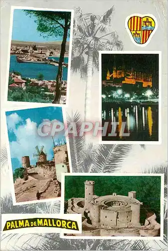 Cartes postales moderne Palma de Mallorca La Catedral