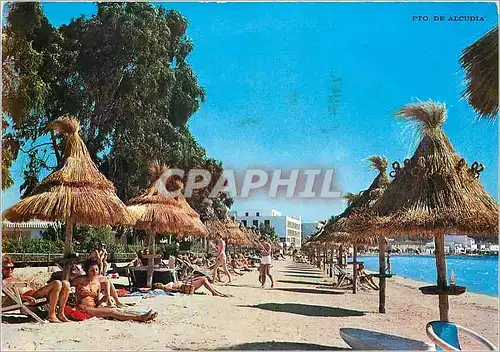 Cartes postales moderne Puerto de Alcudia Mallorca Baleares Espana