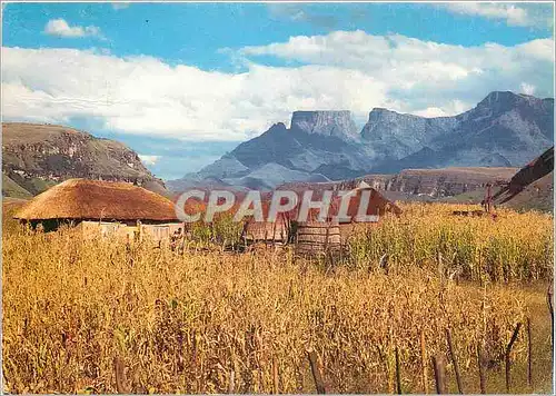 Cartes postales moderne Drakensberg natal South Africa