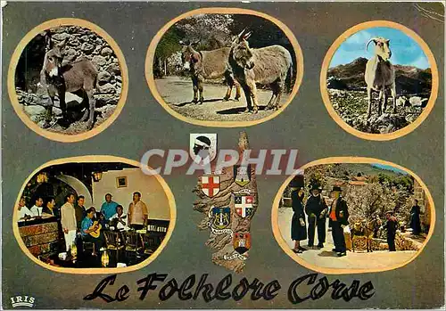 Cartes postales moderne Le Folklore Corse