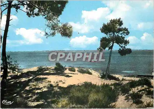 Cartes postales moderne Ile d'Oleron St Trojan les Bains (Cher Mar) Echappee sur L'Ocean
