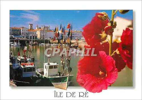 Cartes postales moderne La Cote Atlantique Ile de Re (Char Mar) Saint Martin