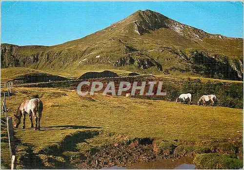 Cartes postales moderne Les Monts du Cantal Le Puy Mary (alt 1787 m) vu du Col d'Eylac