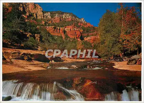 Cartes postales moderne A gentle Waterfalle in oak creek Xanyon Sedona Arizona