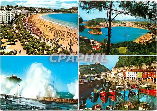 Cartes postales moderne San Sebastien Vista general