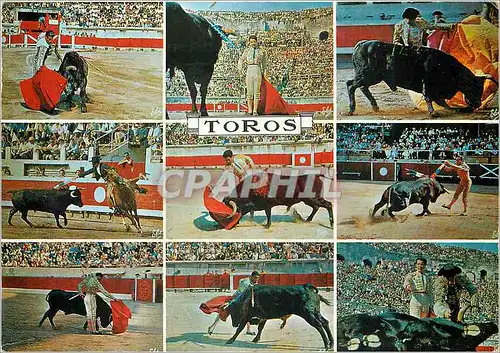 Cartes postales moderne Toros de gauche a droite Pose de Muleta Corrida
