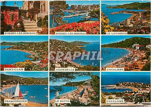 Cartes postales moderne Cote d'Azur Varoise de Bormes les Mimosas a cavalaire sur Mer(var)