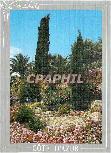 Cartes postales moderne Jardins fleurie de la Cote d'Azur
