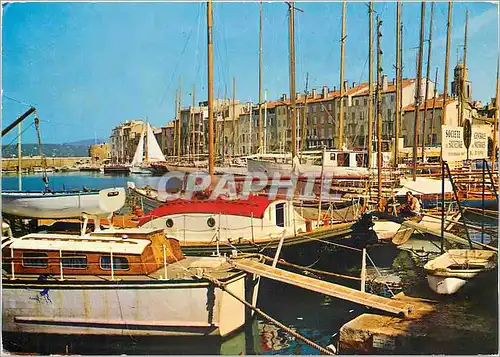 Moderne Karte Cote d'Azur France Saint Tropez (Var) Le Port Bateaux