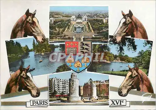 Moderne Karte Paris XVIe les jardins du Trocadero et le palais de chaillot Chevaux Hipisme