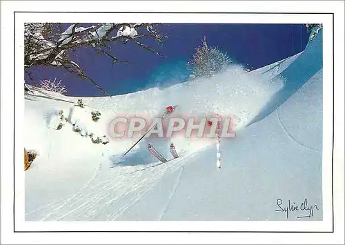 Cartes postales moderne Ski Show