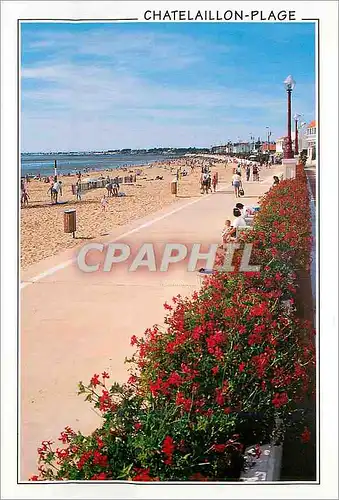 Cartes postales moderne Chatelaillon Plage la Plage et le Front de mer Fleuri