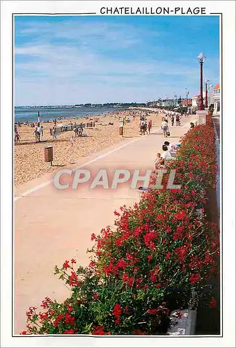 Moderne Karte Chatelaillon Plage la Plage et le Front de mer Fleuri