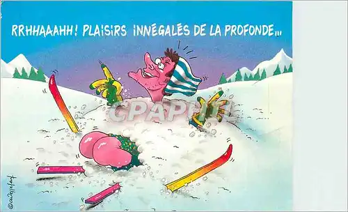 Cartes postales moderne Maboules de Neige Daniel Mennebeuf Ski