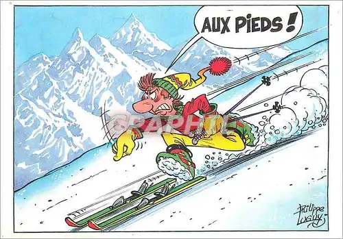 Cartes postales moderne Les Joies des sports d'Hiver
