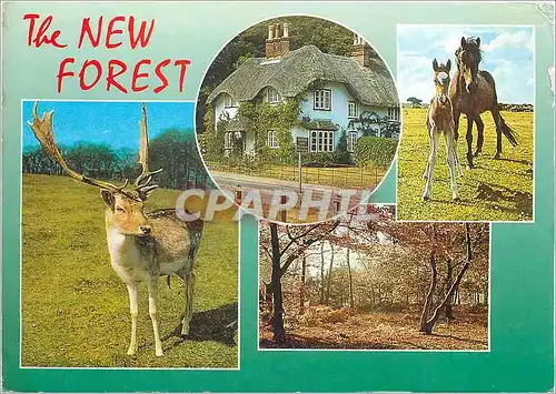 Moderne Karte The new forest