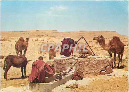 Cartes postales moderne Sud Tunisie Puits source de vie