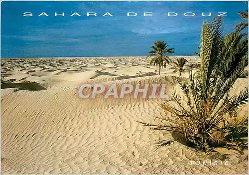 Moderne Karte Sahara de Douz Tunisie