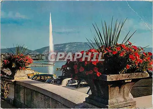 Cartes postales moderne Geneve le Jet d'eau (120 m)