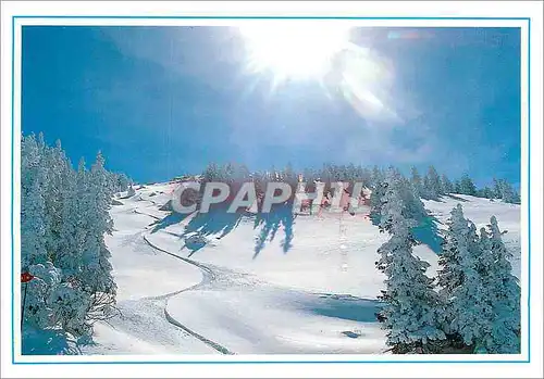 Moderne Karte Paysage hivernale